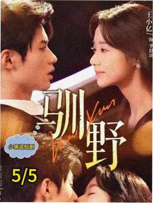 会员精选电视剧封面